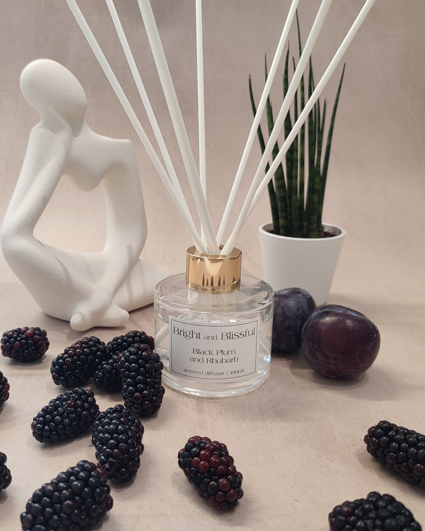 Black Plum and Rhubarb scented diffuser - 100ml circular