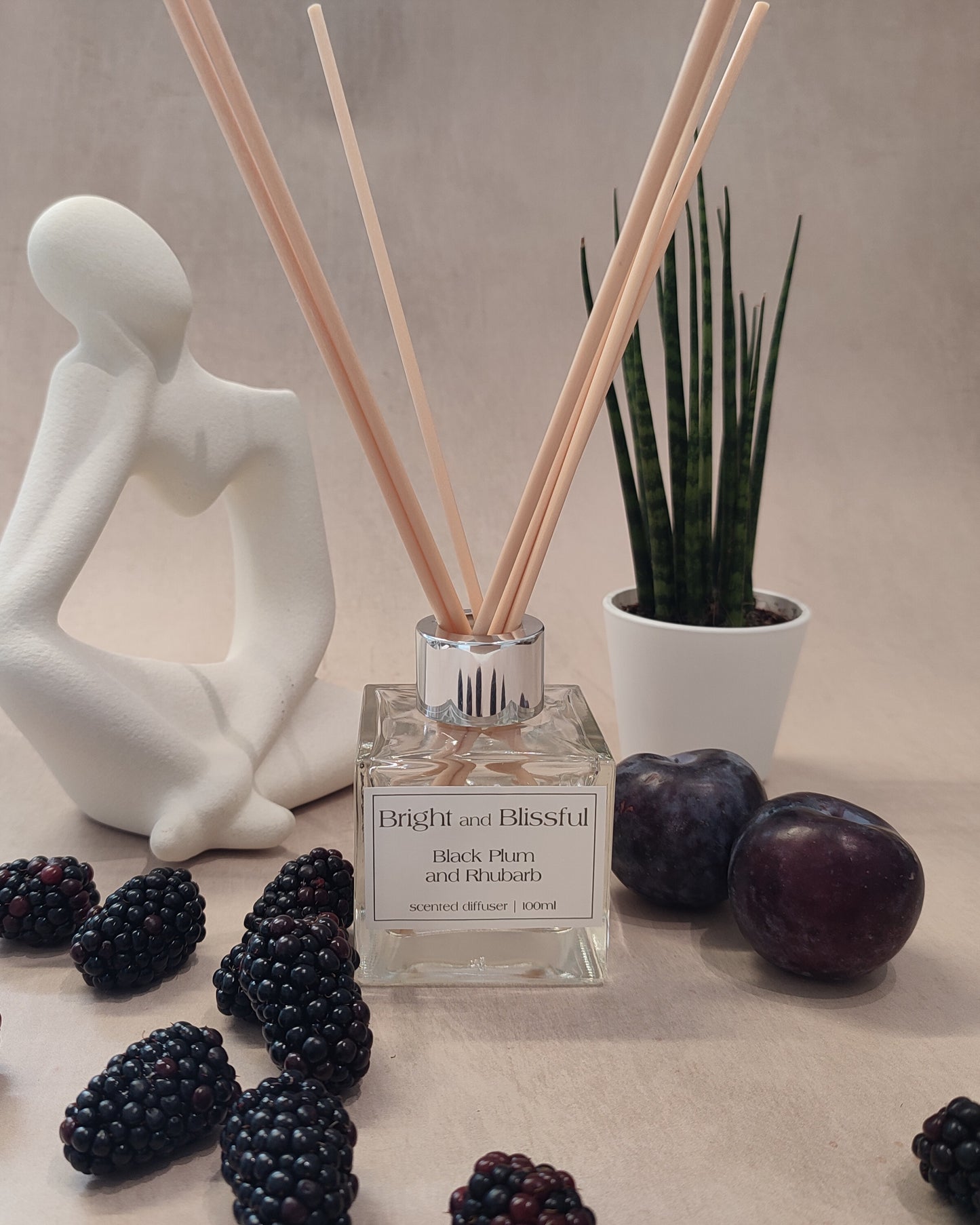 Black Plum and Rhubarb scented diffuser - 100ml square