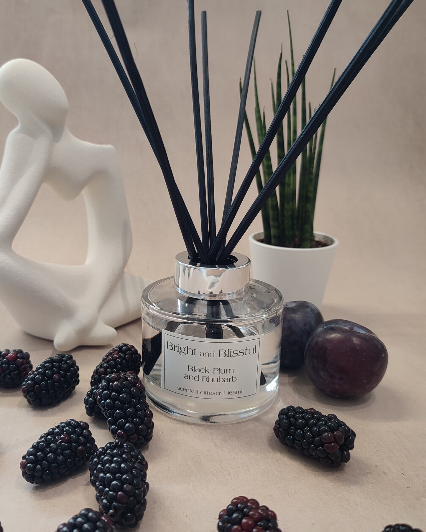 Black Plum and Rhubarb scented diffuser - 165ml circular