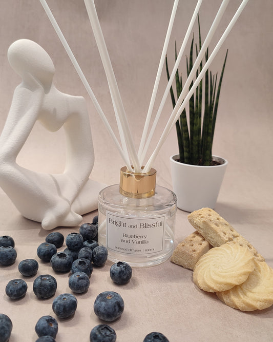 Blueberry and Vanilla scented diffuser - 100ml circular