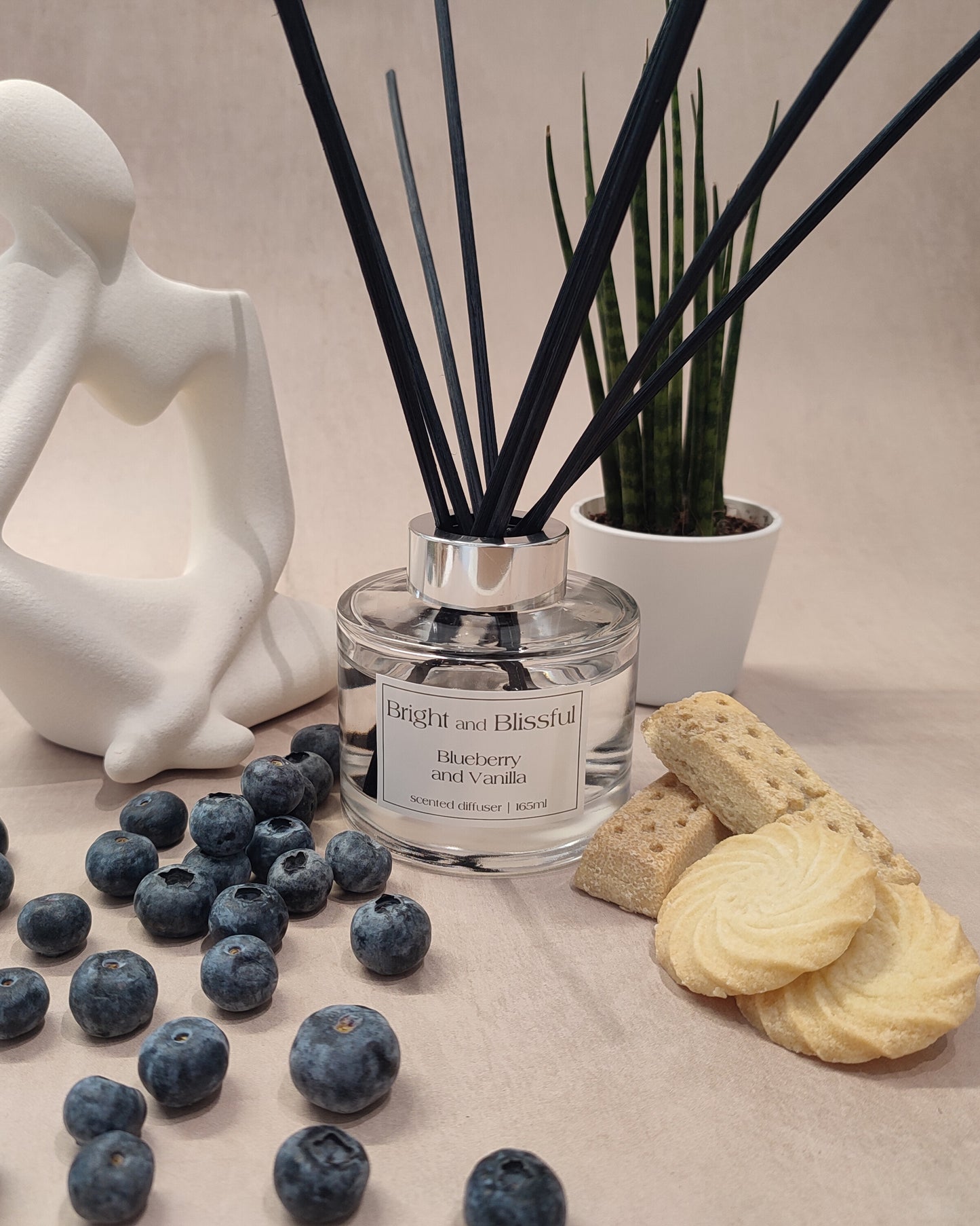 Blueberry and Vanilla scented diffuser - 165ml circular