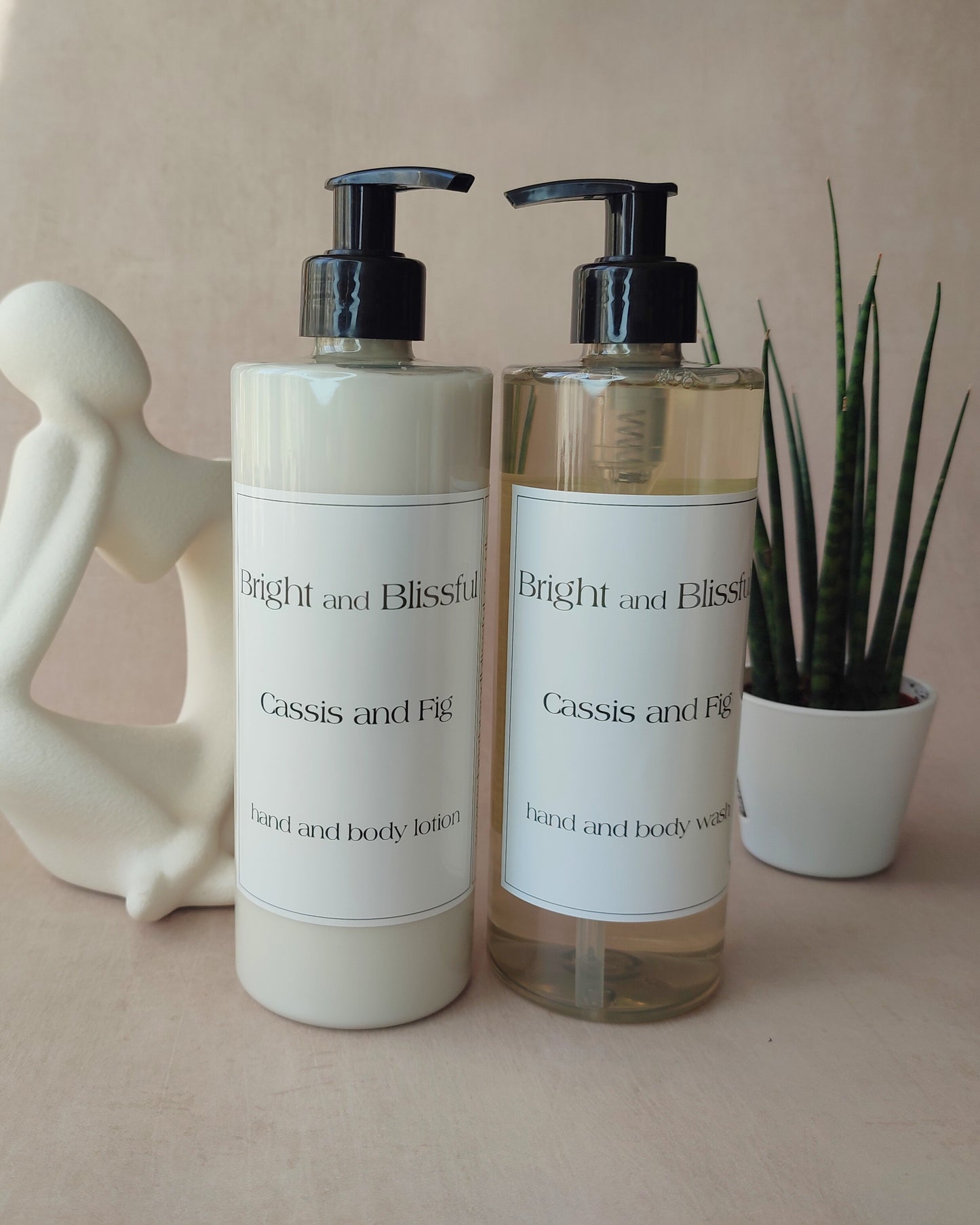 Cassis and Fig hand and body wash