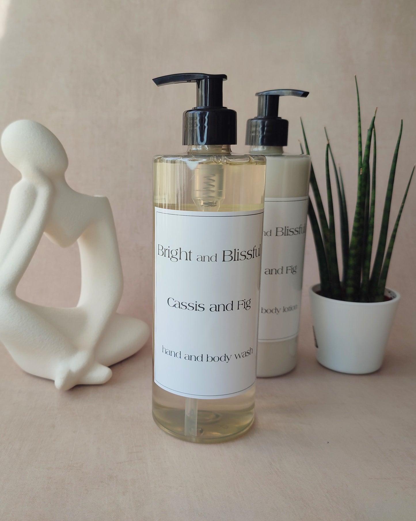 Cassis and Fig hand and body wash