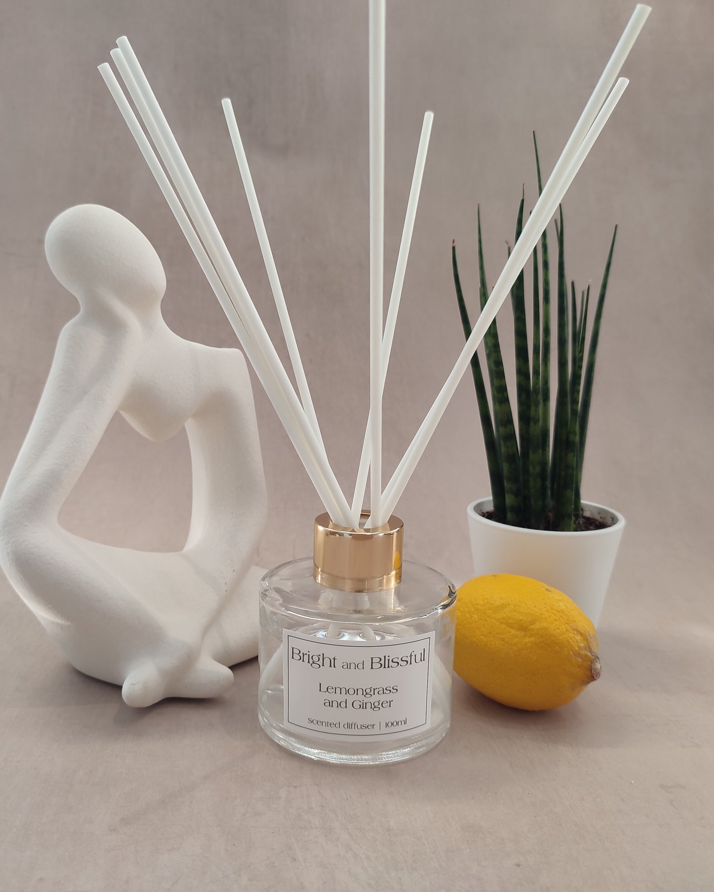 Lemongrass and Ginger scented diffuser - 100ml circular