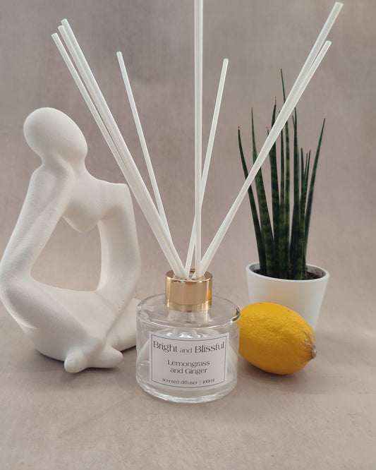 Lemongrass and Ginger scented diffuser - 100ml circular