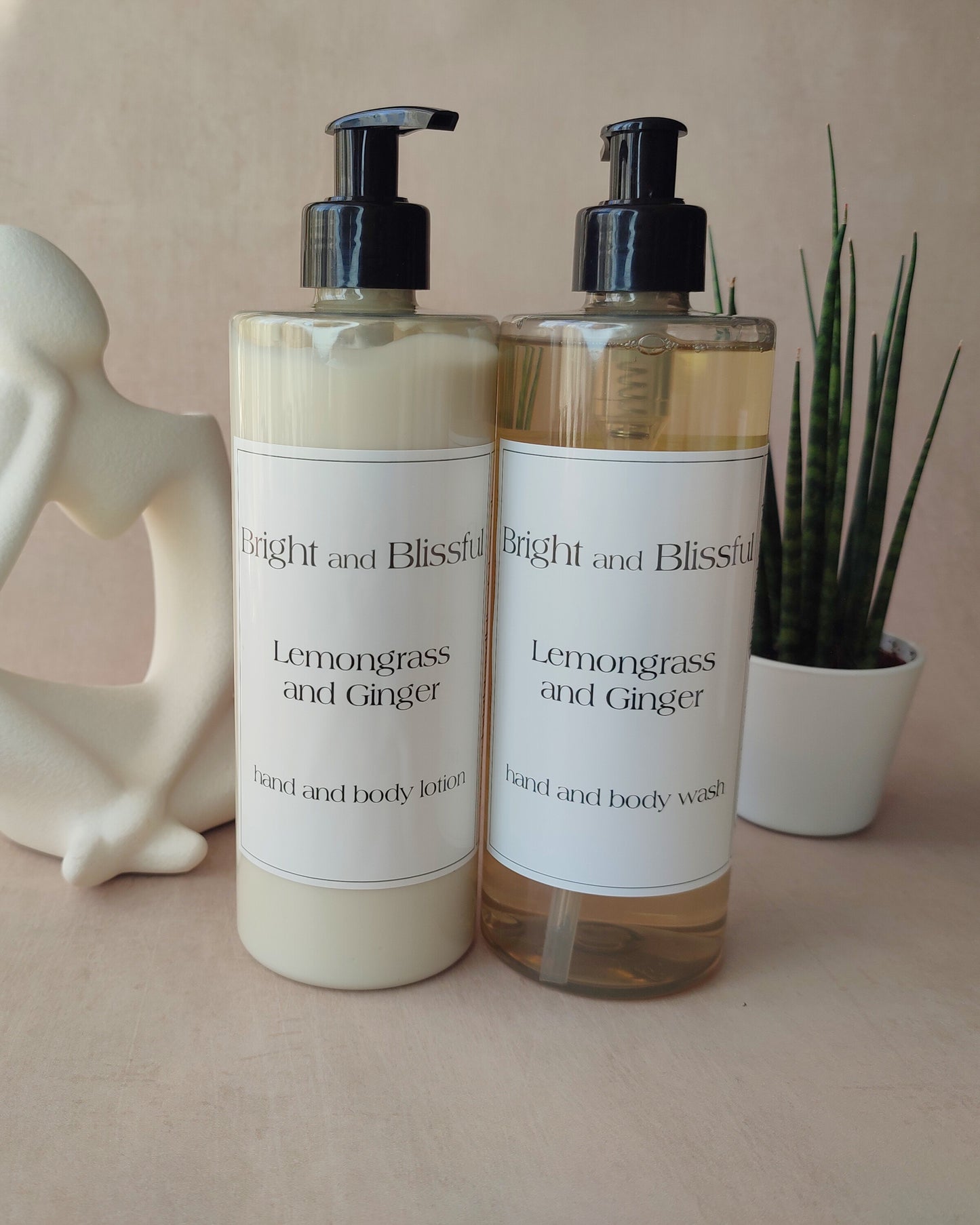 Lemongrass and Ginger hand and body wash