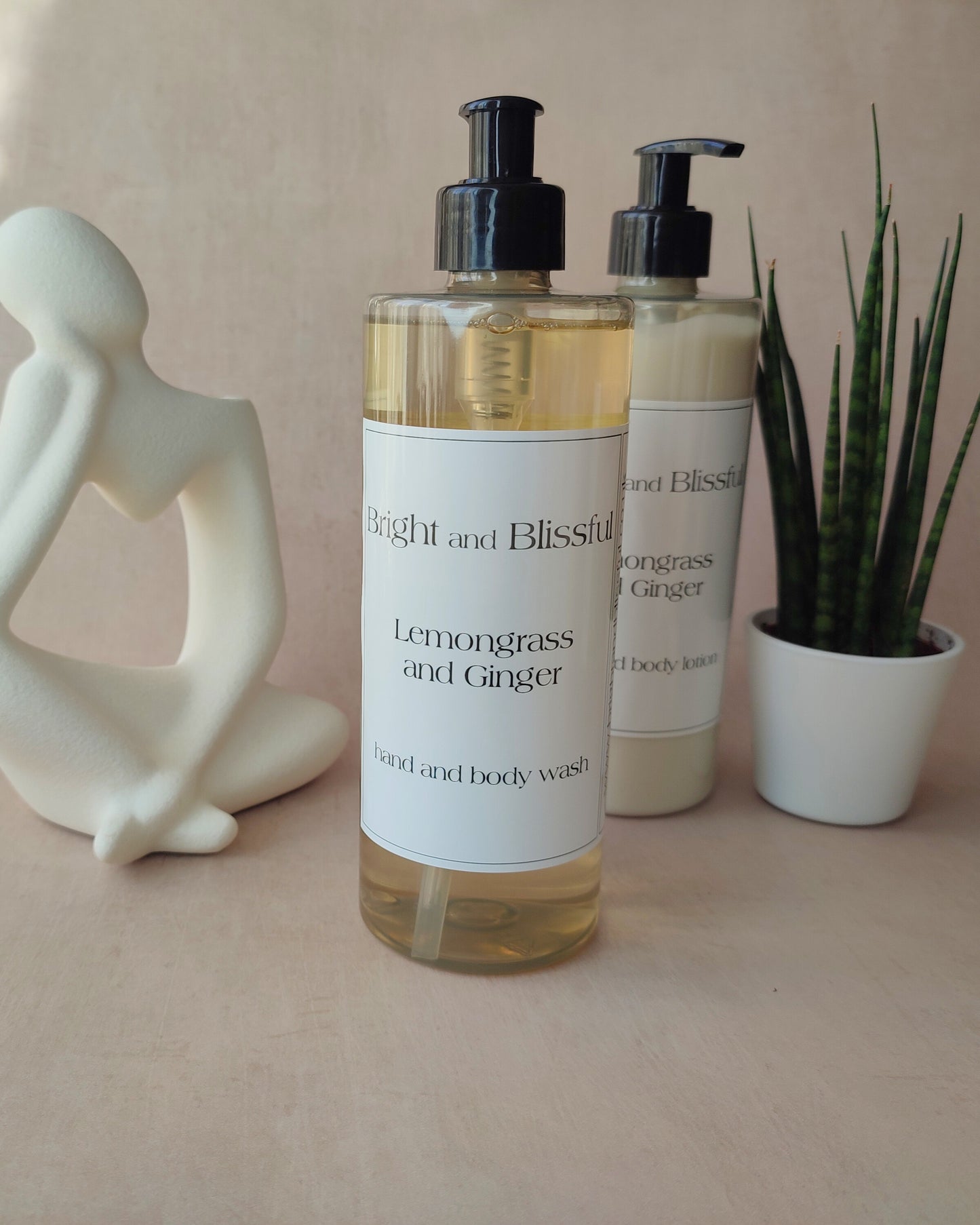 Lemongrass and Ginger hand and body wash