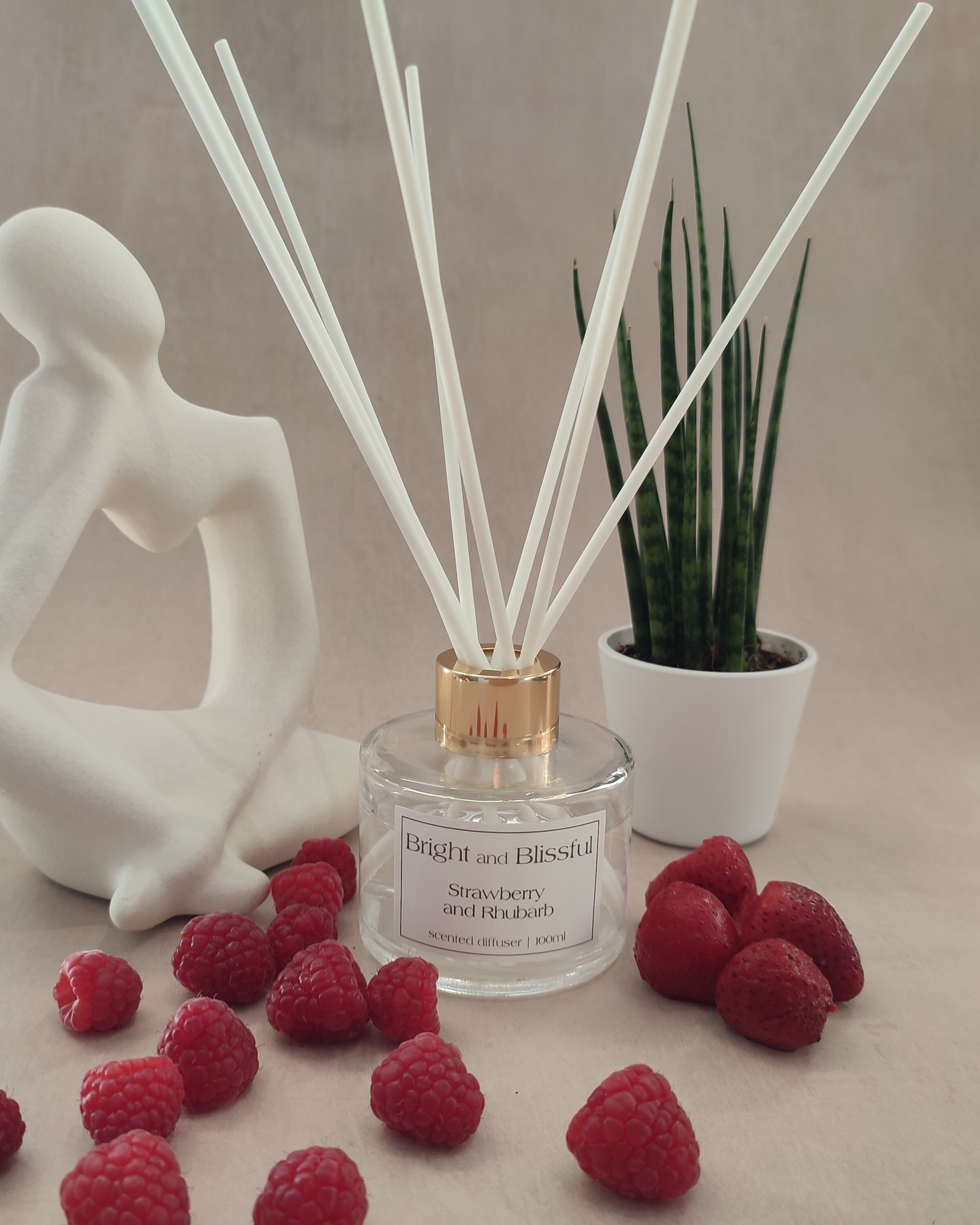 Diffuser Hateberry Strawberry and Rhubarb scented diffuser - 100ml circular – Bright and ...