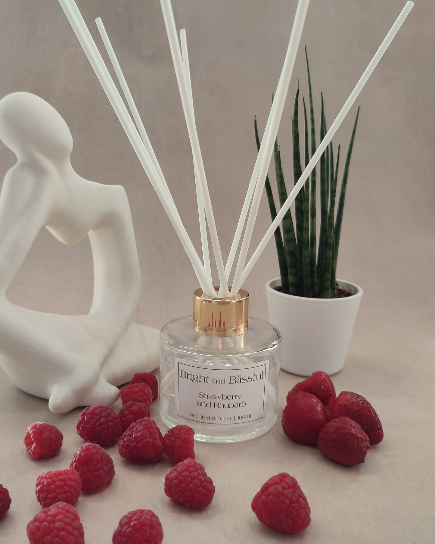 Strawberry and Rhubarb scented diffuser - 100ml circular