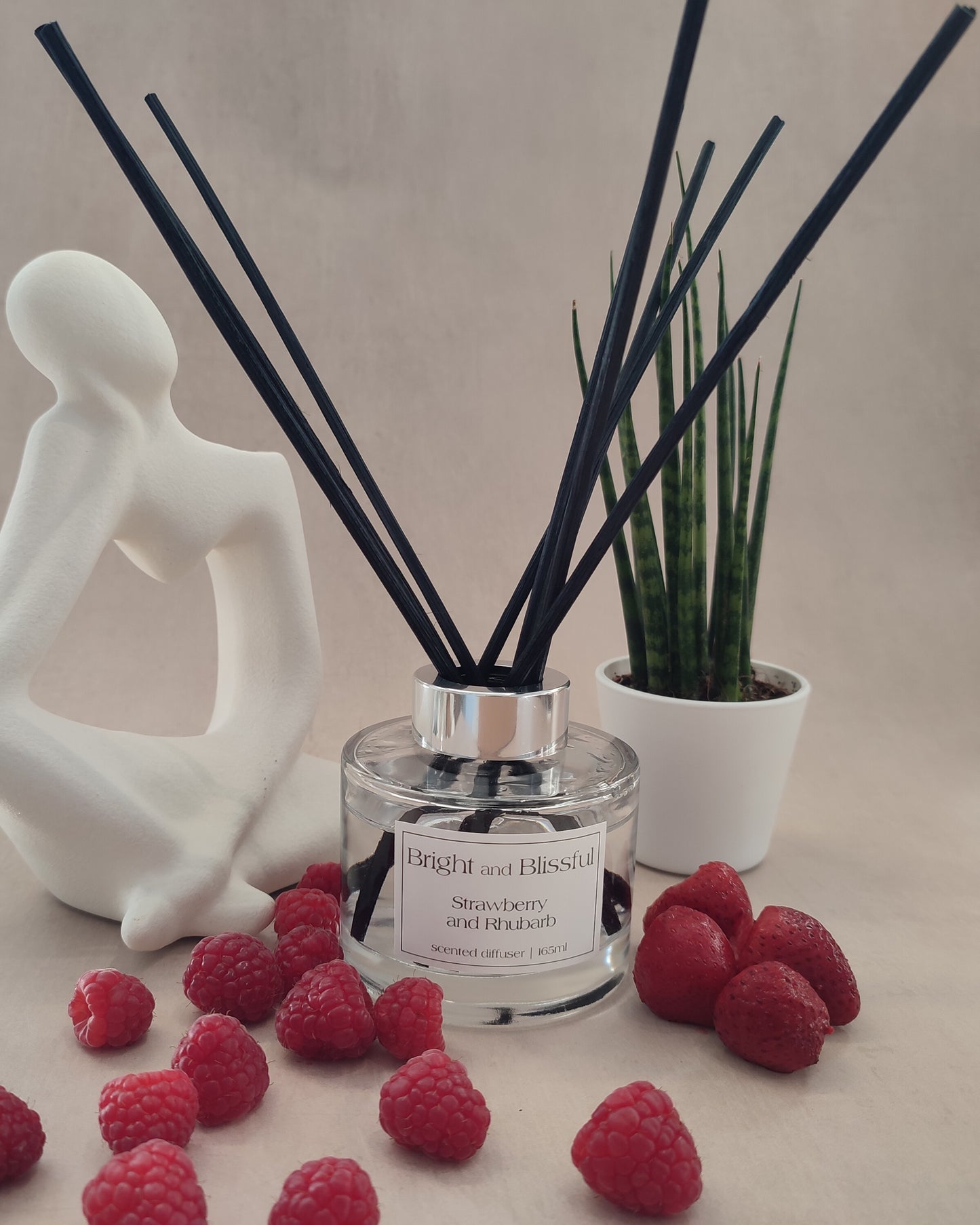 Strawberry and Rhubarb scented diffuser - 165ml circular